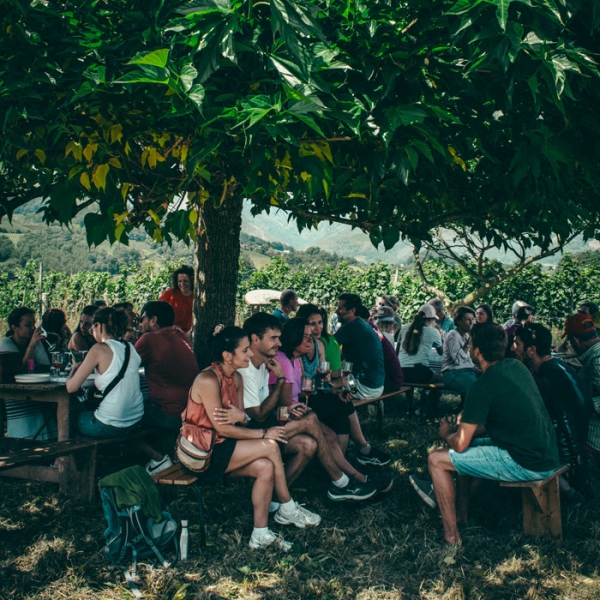 Rencontre Vigneronne