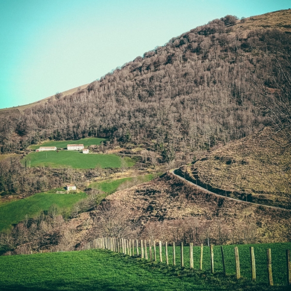Immersion en Terroir Basque