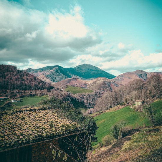 Immersion en Terroir Basque