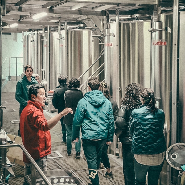 Immersion en Terroir Basque