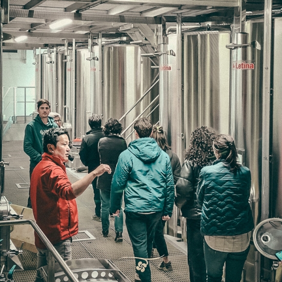 Immersion en Terroir Basque