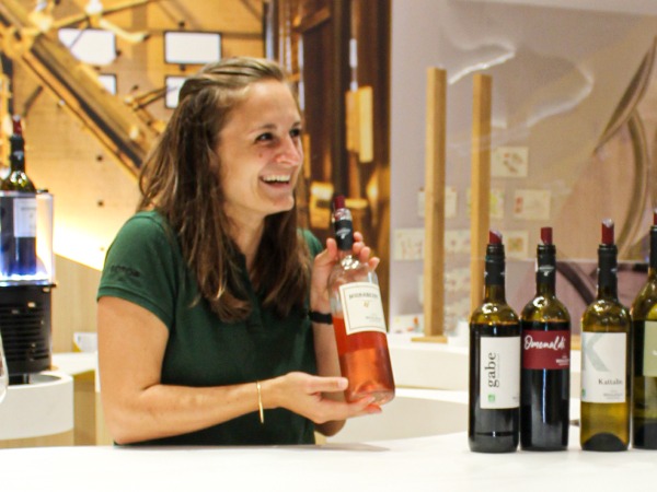 Offre d'emploi - Vendeur (H/F)