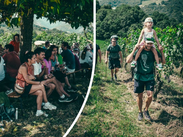 Les Estivales de La Cave – Été 2026