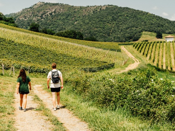 Rencontre vigneronne le 09/08