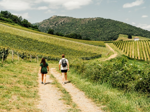 Rencontre vigneronne le 09/08