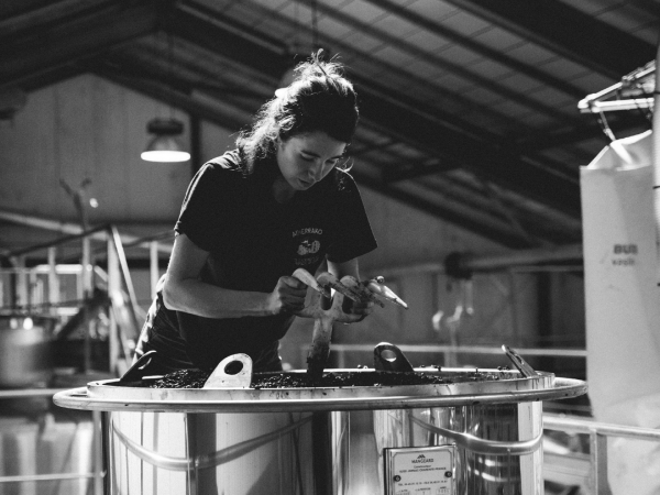 Offre d'emploi - Saisonniers vendanges-vinification